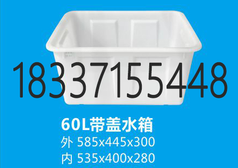 60L塑料水箱|60L食品周转箱